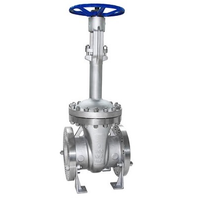 Cryogenic Service Gate Valve