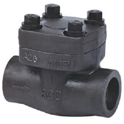 Forged Check Valve - LGS VALVE
