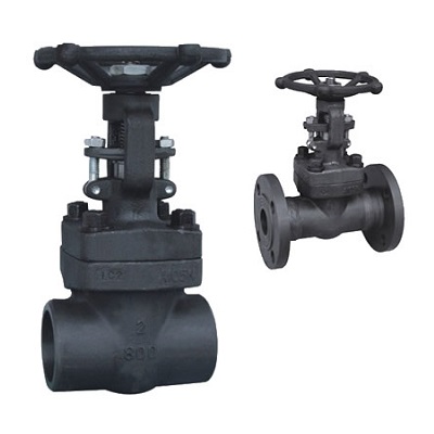 Forged Gate Valve
